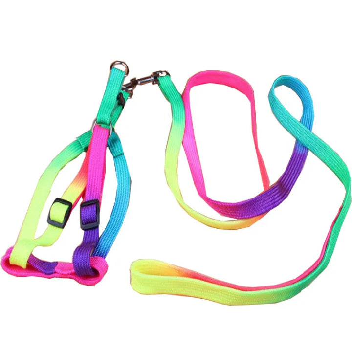 Set of rainbow dog harness and accompanying leash, designed for pet safety and style.