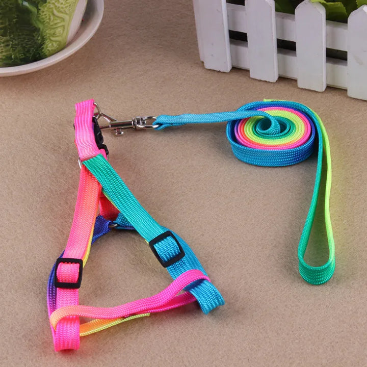 Rainbow dog harness and leash; a durable, adjustable pet accessory for all breeds.