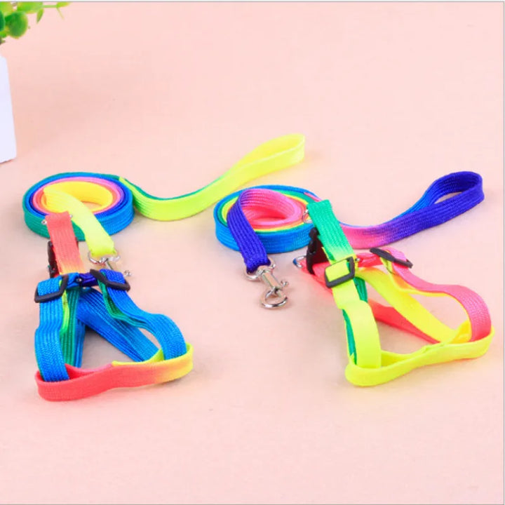Comfortable rainbow dog harness with a strong matching leash, ideal for daily dog walks.