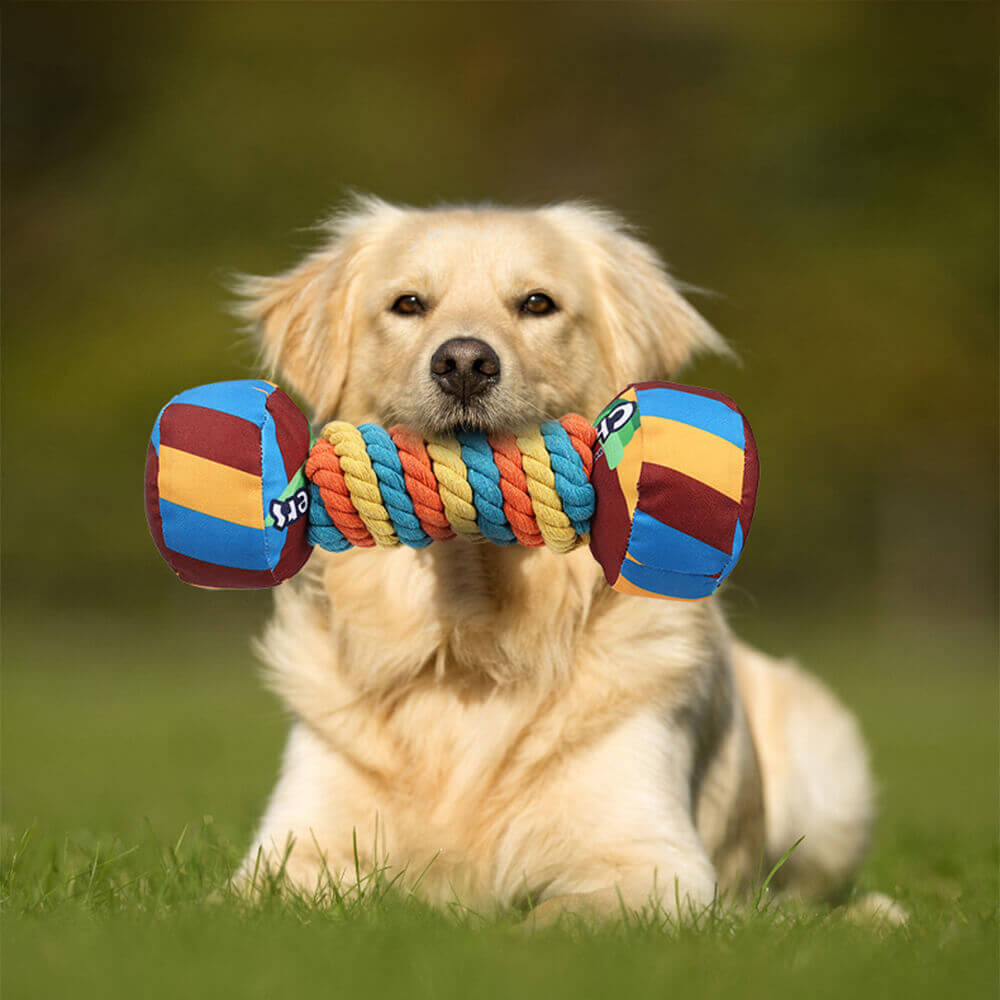 Vibrant rainbow dumbbell squeaky dog toy for interactive play and chewing fun