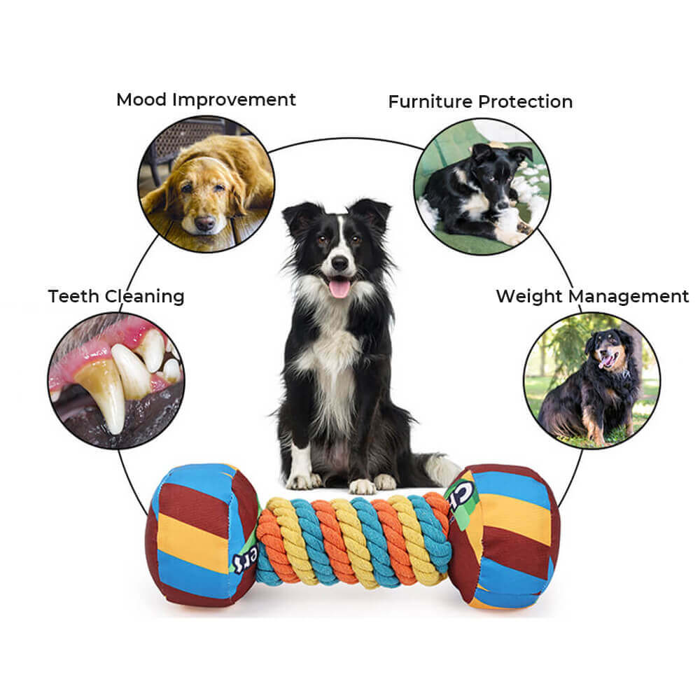 Colorful unisex rainbow dumbbell chew toy, perfect for engaging dogs of all sizes