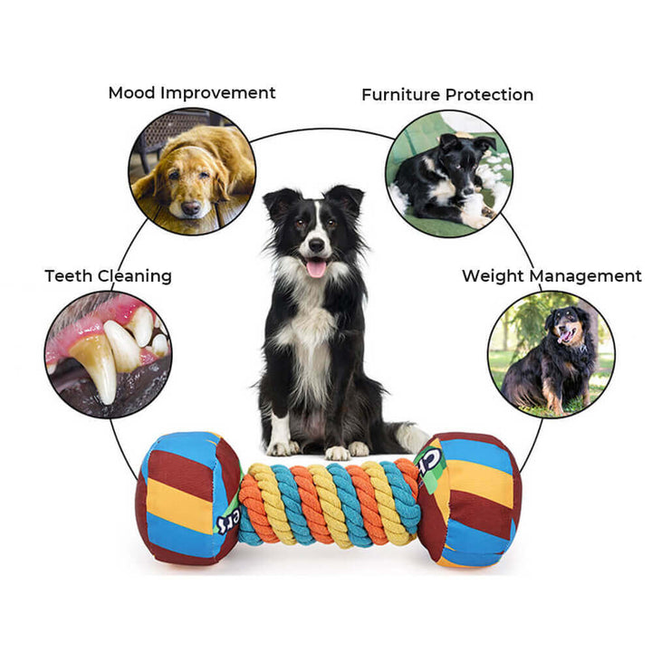Colorful unisex rainbow dumbbell chew toy, perfect for engaging dogs of all sizes