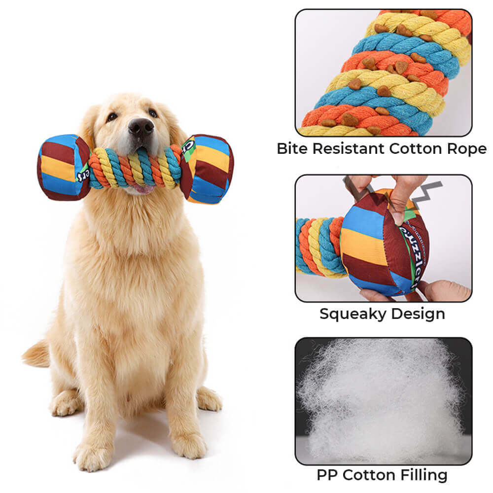 Interactive rainbow dumbbell pet toy with built-in squeaker for endless entertainment