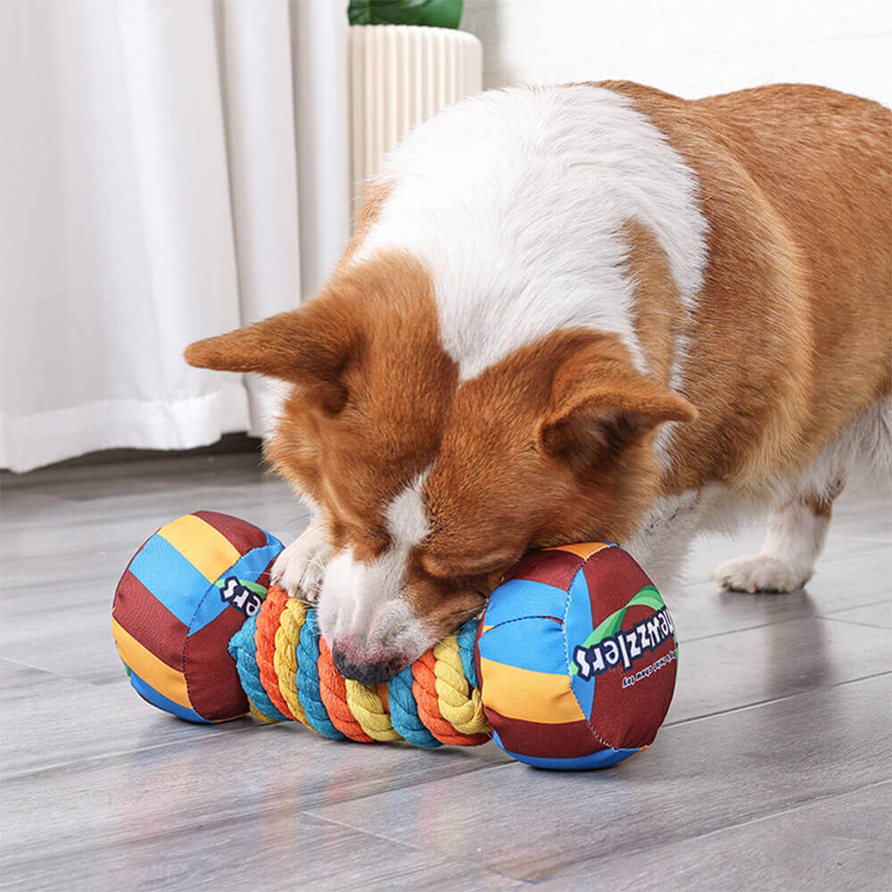 Fun rainbow dumbbell dog accessory, a squeaky chewtoy for active puppies and adult dogs