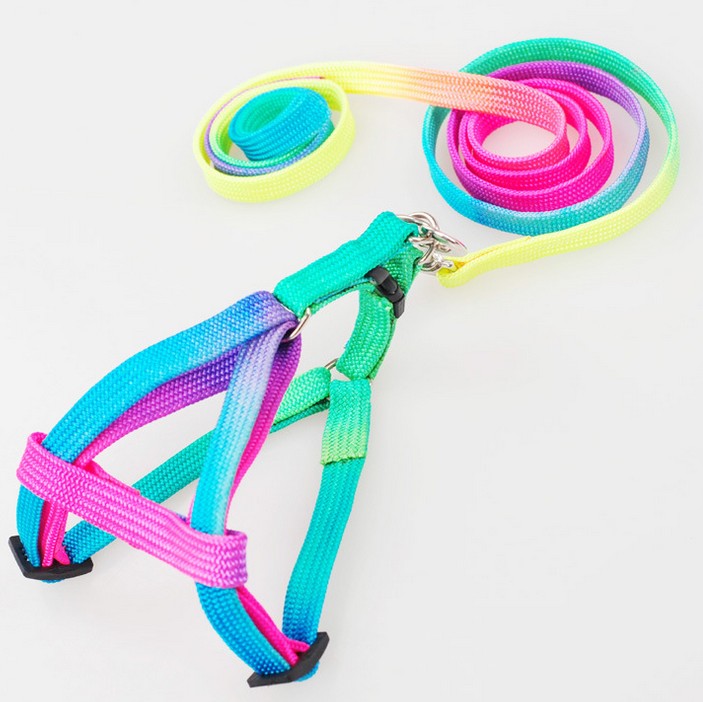 Vibrant rainbow nylon dog harness and matching leash set, adjustable for comfortable pet safety