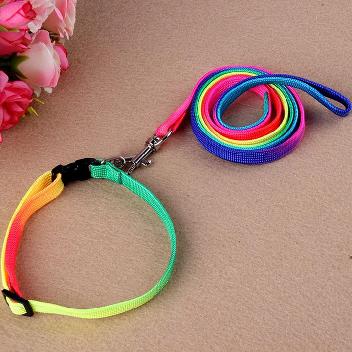 Close-up of durable rainbow nylon dog harness with metal D-ring, excellent for outdoor gear