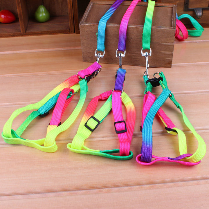 Rainbow nylon dog harness and leash set laid flat, highlighting vibrant colors and pet safety features
