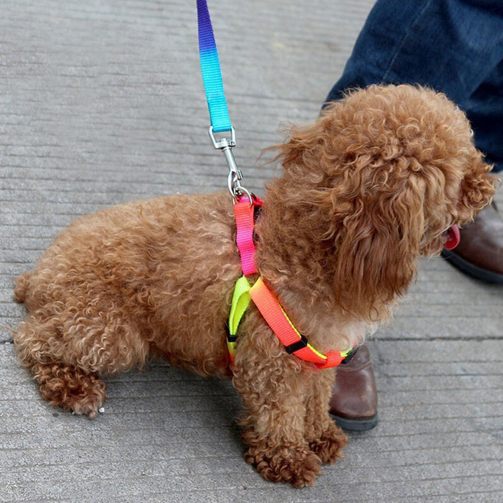 Side view of an adjustable rainbow dog harness, showing sturdy construction and comfortable design