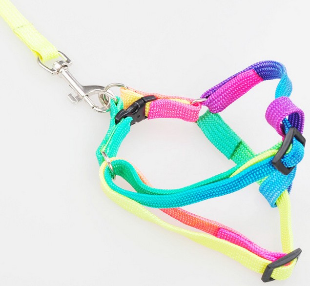 Stylish rainbow nylon dog harness and leash combo, perfect and durable for daily walks and outdoor adventures