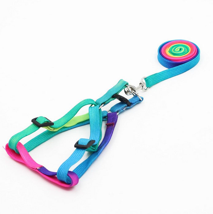 Detail of adjustable straps on a rainbow dog harness, emphasizing pet safety and customized comfort