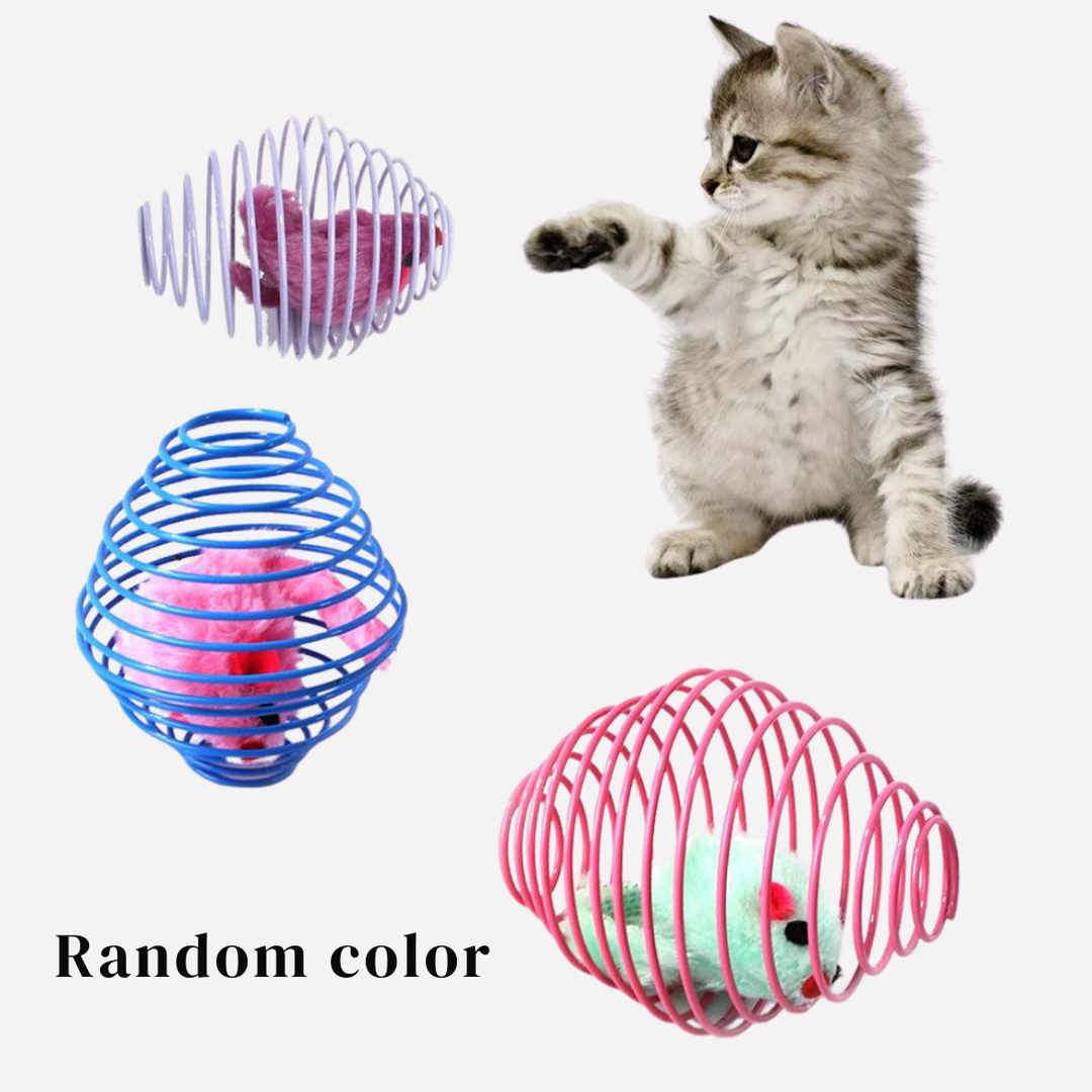 Vibrant spring catnip toy ball for cats, perfect for interactive indoor play and feline fun