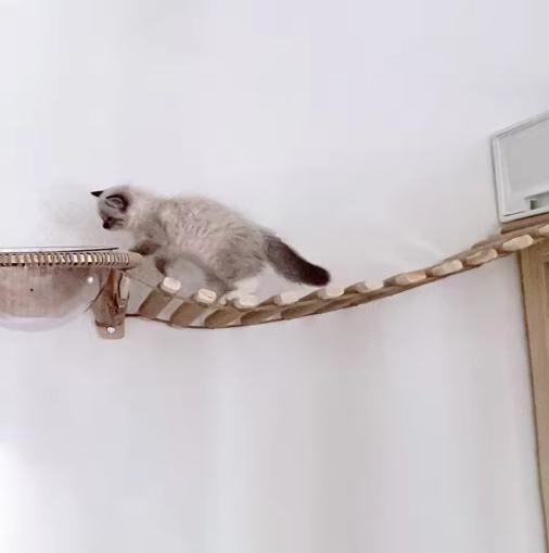 Wooden wall-mounted cat bridge and sisal ladder, perfect cat toy for climbing activity.
