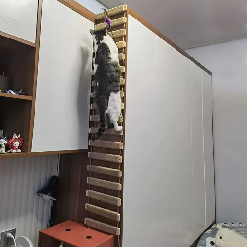 Stylish wall cat bridge with sisal ladder, ideal for feline exercise and entertainment.