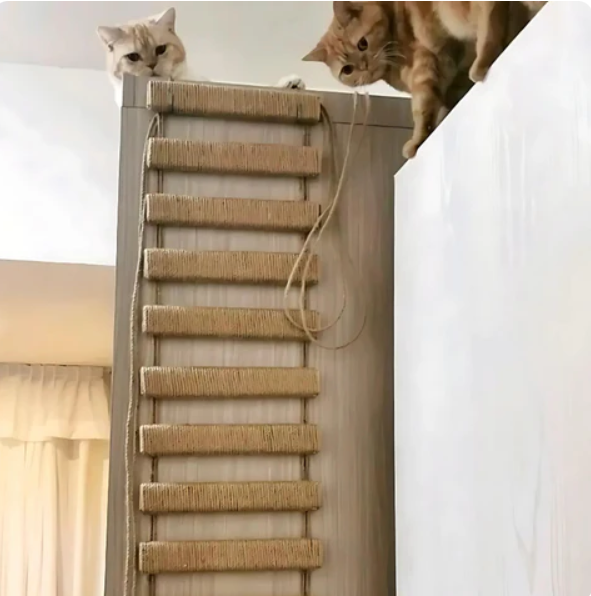 Durable wall-mounted cat furniture, a climbing bridge with a sisal rope ladder toy.