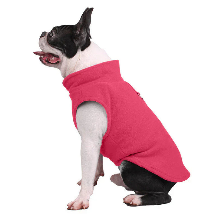 Blue dog jacket for all seasons, ensuring pet comfort and warmth