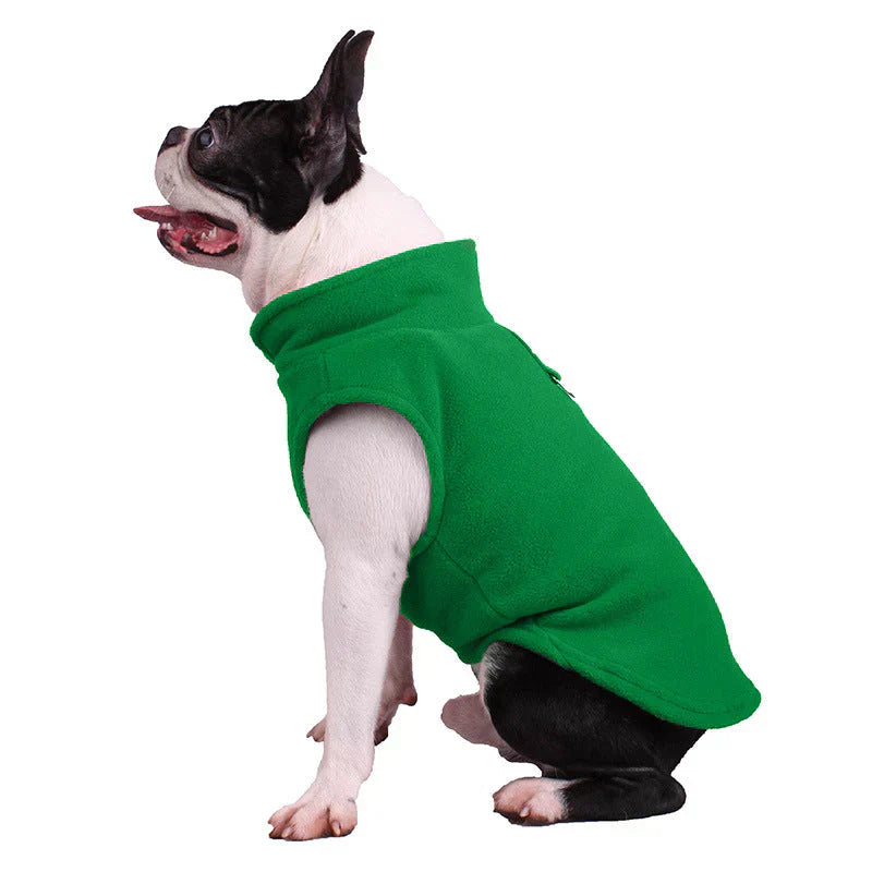 Dog wearing an all-season fleece-lined jacket, looking comfortable