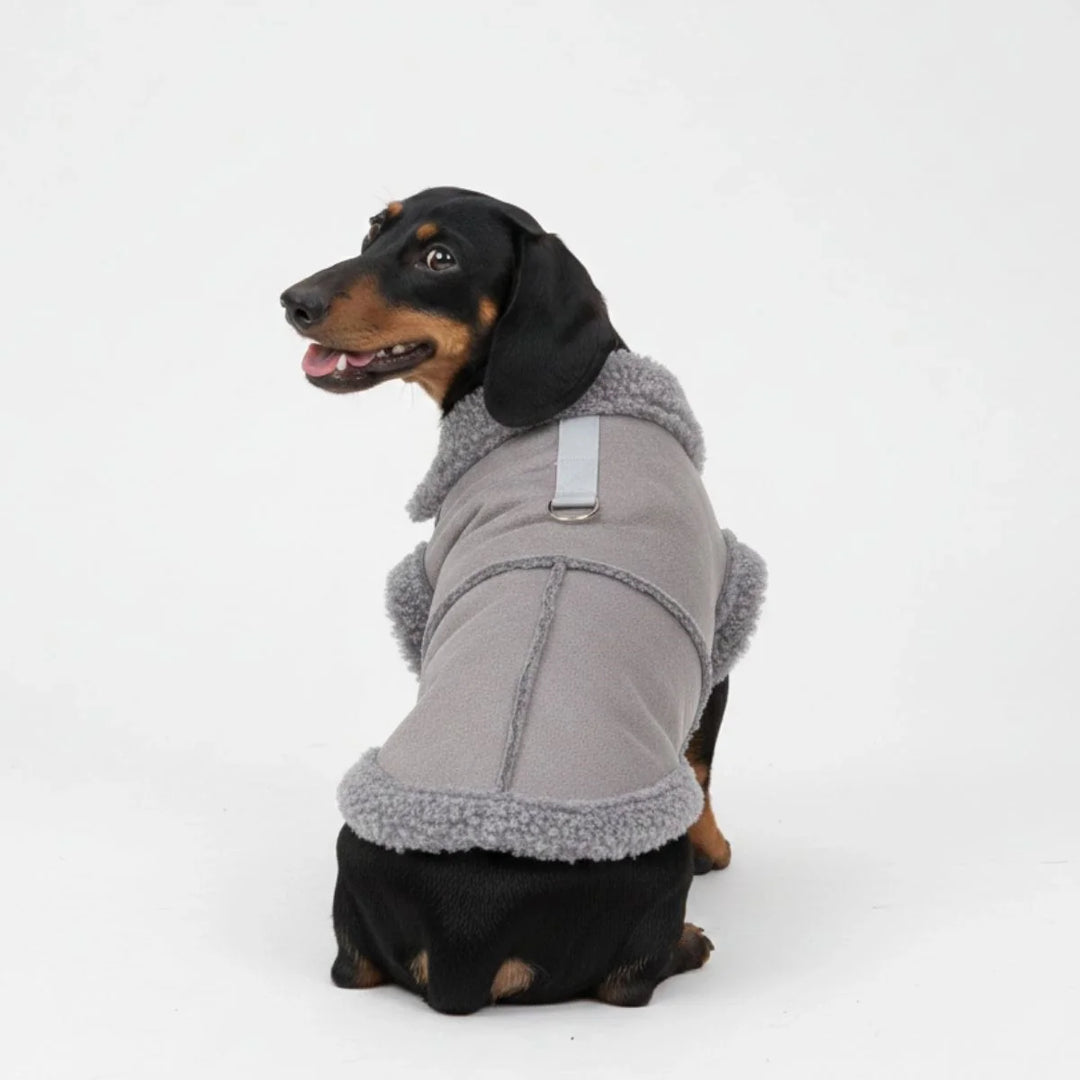 Warm dog shearling winter jacket with integrated harness for small to medium pets, black color.
