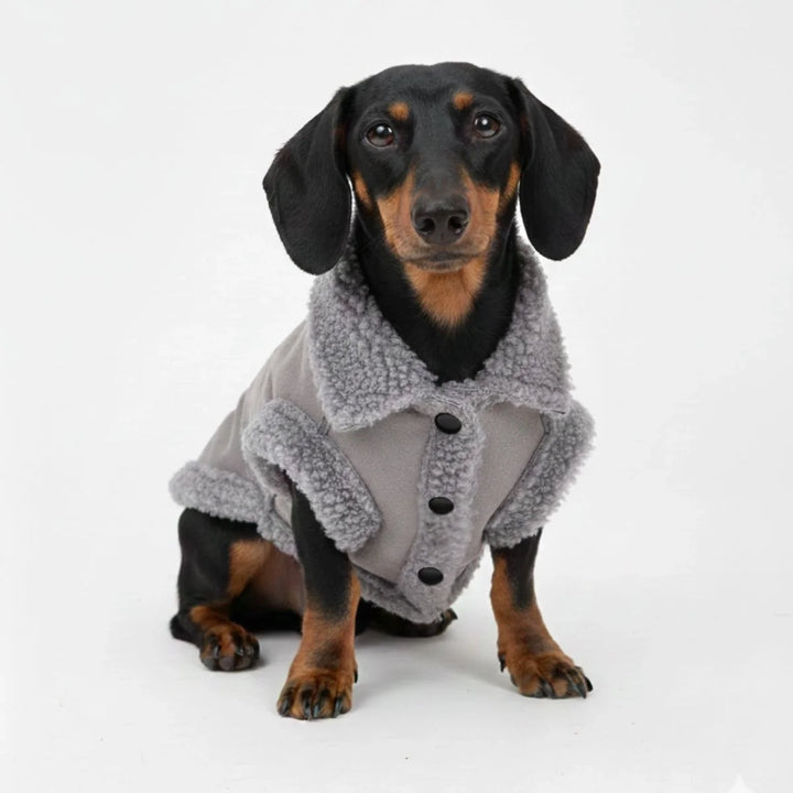 Beige shearling dog jacket with built-in harness, perfect for winter walks and outdoor adventures.