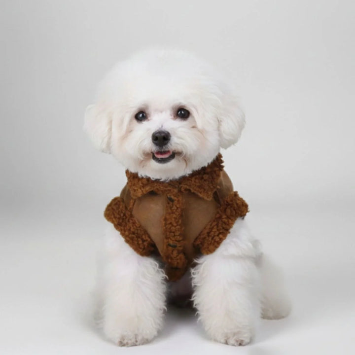 Dog wearing a stylish red shearling jacket with an integrated harness, designed for warmth and comfort.