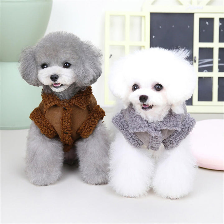 Outdoor dog gear: practical shearling winter jacket with a secure harness for active dogs in snow.