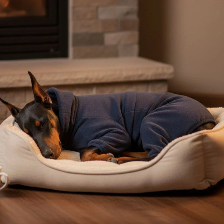 Green fleece dog jumpsuit, a practical winter dog coat, offering full body warmth and protection from cold weather.