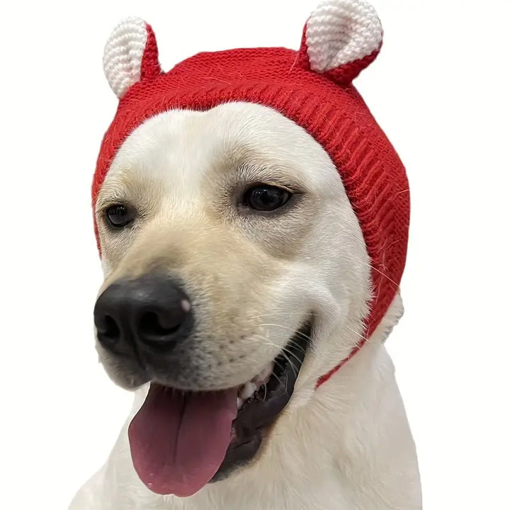 Adorable dog wearing a gray knitted hat, perfect pet accessory for cold weather walks