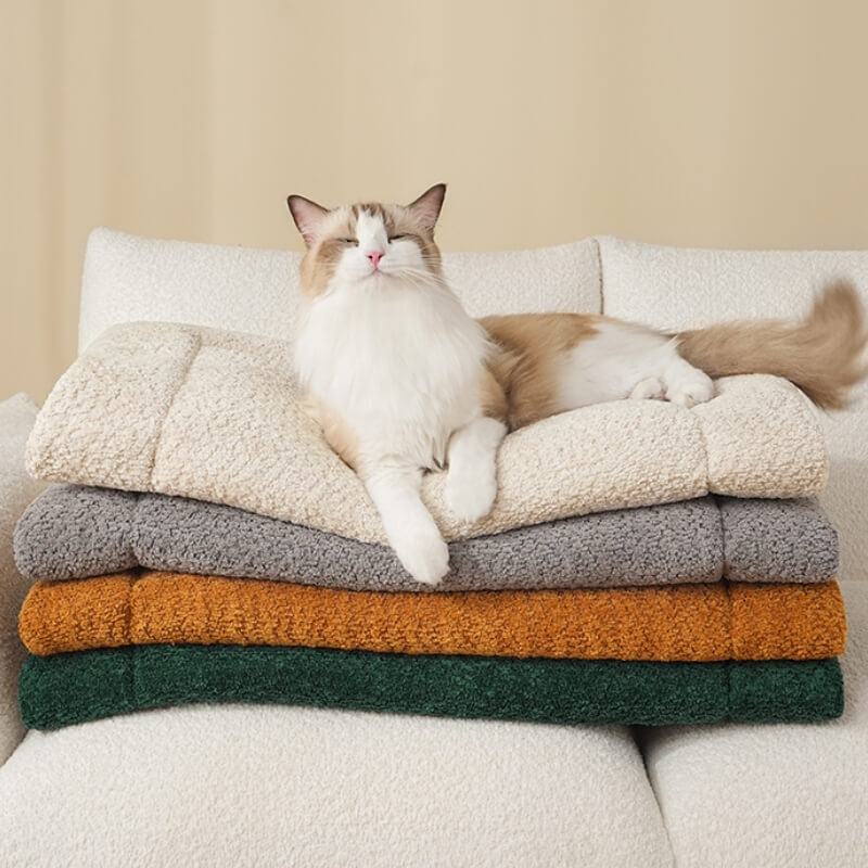 Non-slip pet mat for dogs and cats, featuring a warm plush surface for ultimate pet comfort. Petmat.
