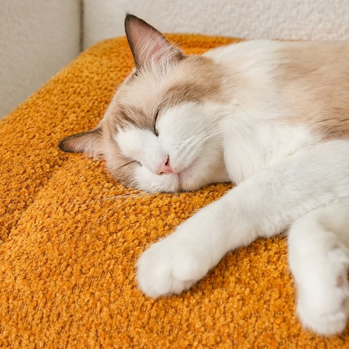 Pet mat for large dog or multiple cats, non-slip base and warm plush fabric for relaxation. Pet comfort.