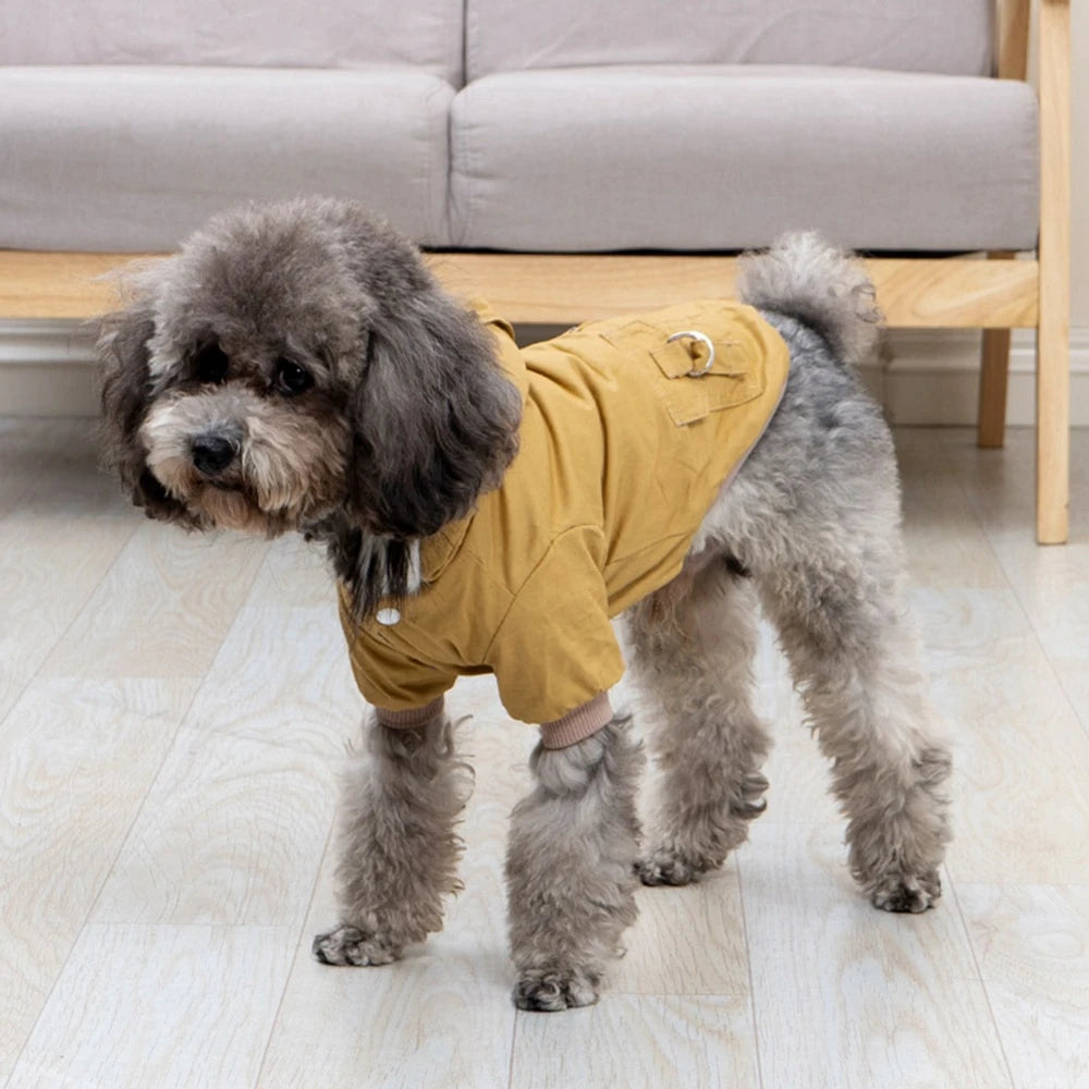 Close-up of a cozy pet jacket in blue, showing thermal polyester fabric for winter dog walks