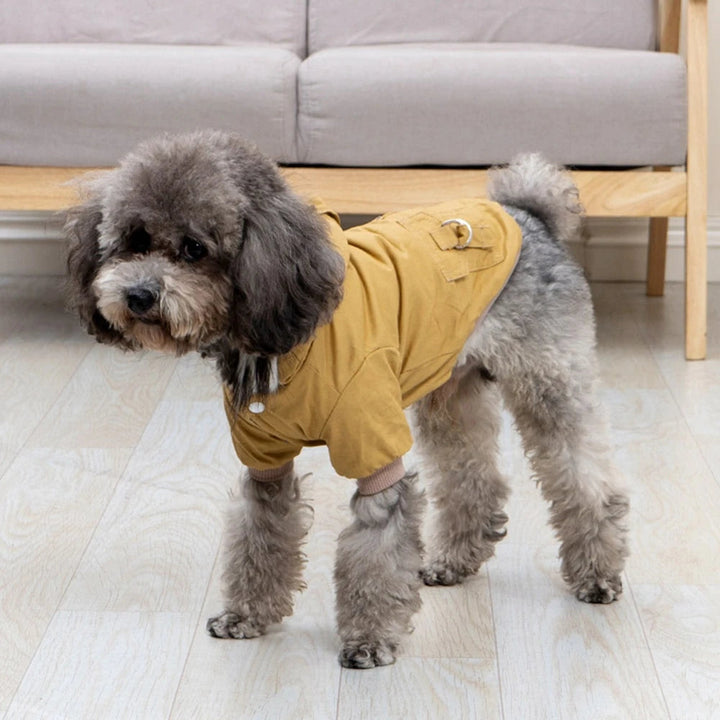Close-up of a cozy pet jacket in blue, showing thermal polyester fabric for winter dog walks