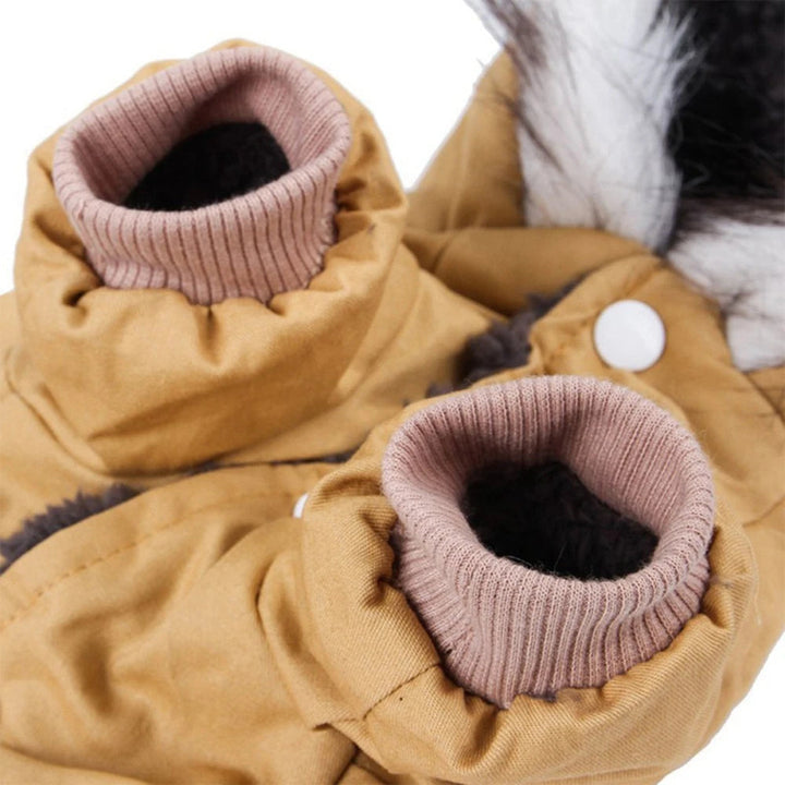 Dog wearing a red hooded pet jacket, ready for an outdoor winter adventure, provides warmth