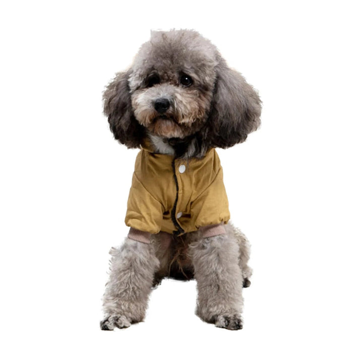 Pet jacket, black, made of warm polyester, ensuring outdoor comfort and coziness for winter walks
