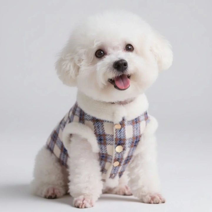 Cozy blue plaid fleece dog jacket, perfect for small to medium dogs in cold weather