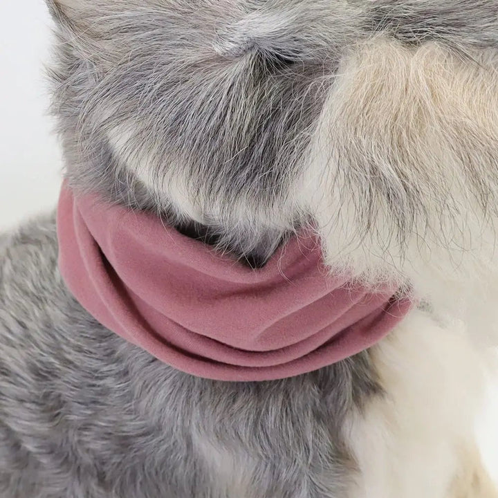 Purple winter dog snood pet hat for ear protection, cozy and washable pet accessory