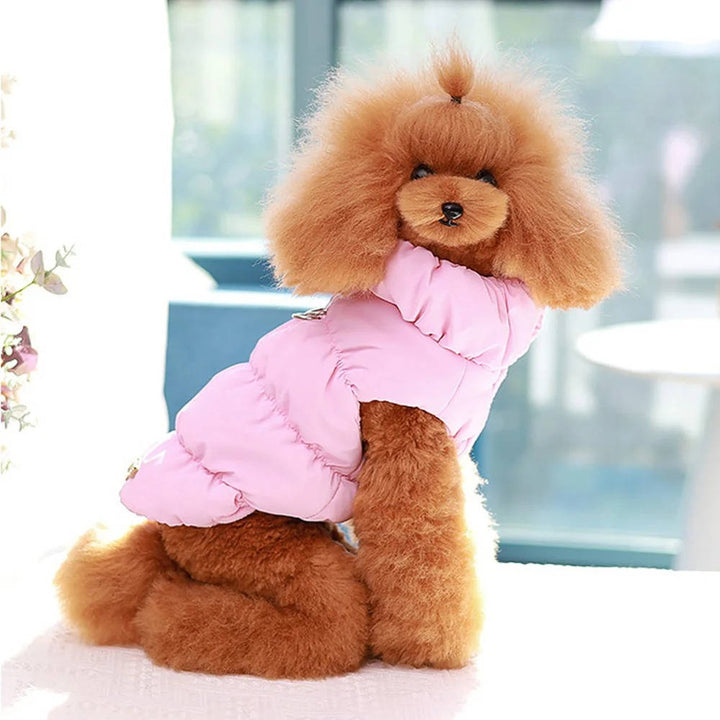 Collection of colorful cotton fleece winter coats for small and medium dogs, keeping pets warm.