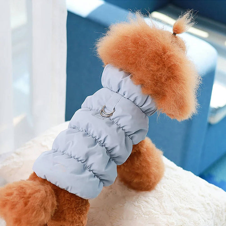 Small dog in a cozy blue fleece-lined winter jacket, perfect pet apparel for outdoor adventures.