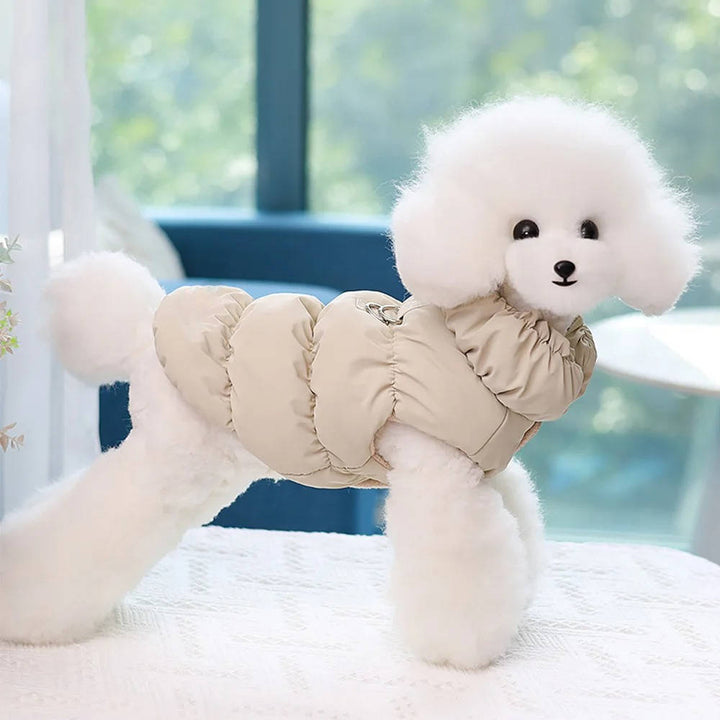 Puppy in a vibrant yellow dog winter coat, designed with cotton fleece for extra warmth and coziness.