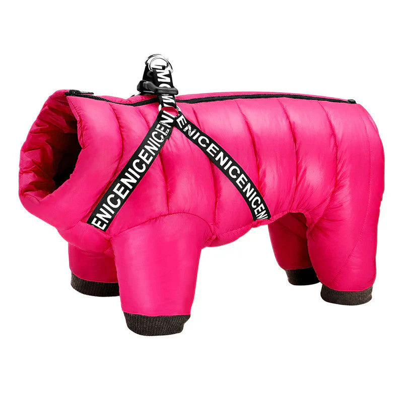 Close-up of durable fabric and integrated harness on a green dog winter jacket.