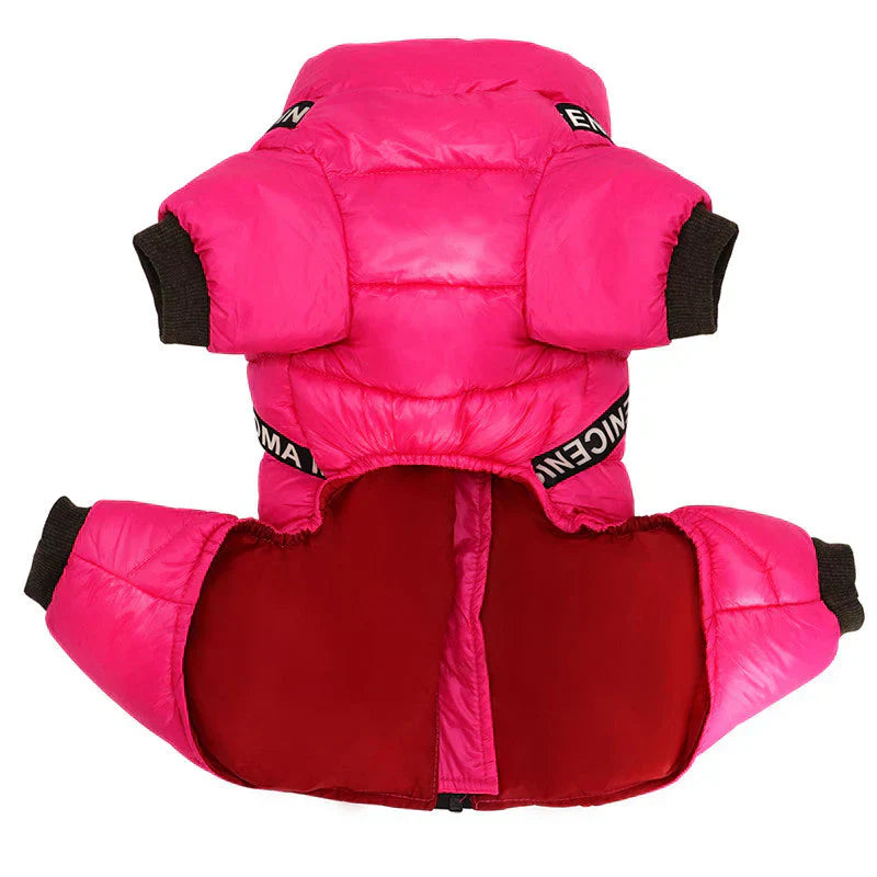 Dog wearing a stylish purple winter coat with built-in harness, ready for cold.