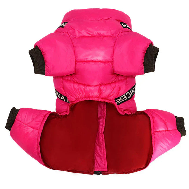 Dog wearing a stylish purple winter coat with built-in harness, ready for cold.