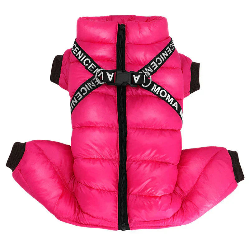 Reflective stitching detail on a grey waterproof dog winter padded coat with harness.