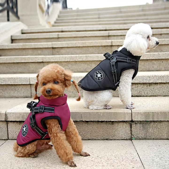 Warm red waterproof dog winter jacket with integrated harness, side view of pet apparel