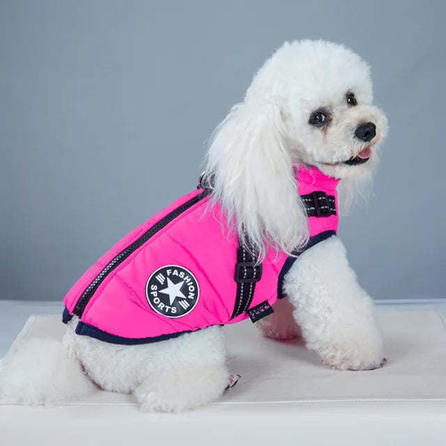 Blue dog winter coat with integrated harness, back view, leash attachment visible, outdoor dog gear