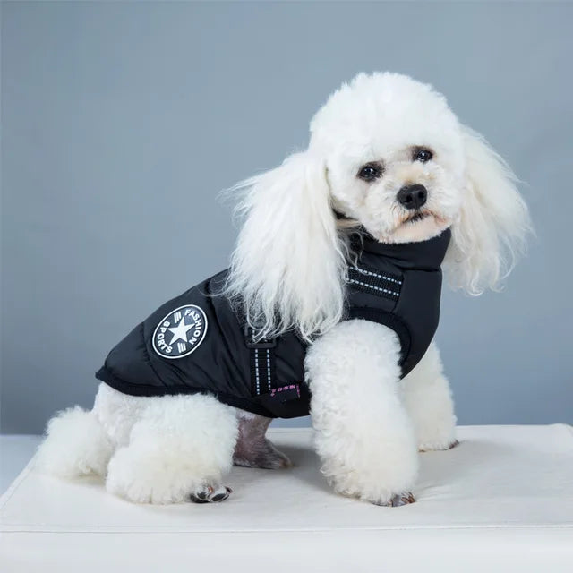 Silver outdoor dog winter jacket with integrated harness, detail of sturdy D-ring for leash