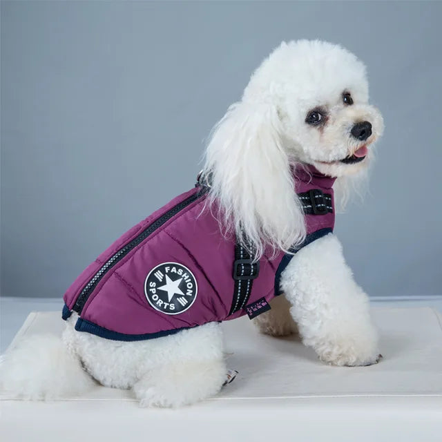 Yellow warm dog winter coat with integrated harness, front chest view, adjustable straps