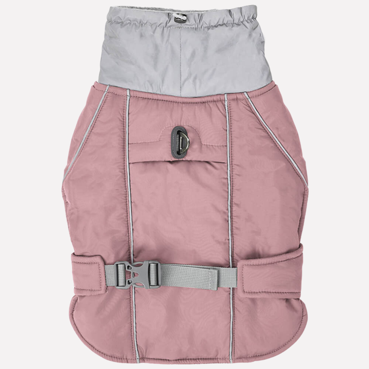 Close-up of durable, waterproof fabric on a reflective dog winter jacket, canine outdoor wear
