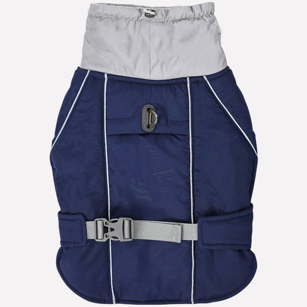 Reflective dog jacket in a vibrant green, waterproof and warm for snowy outdoor adventures