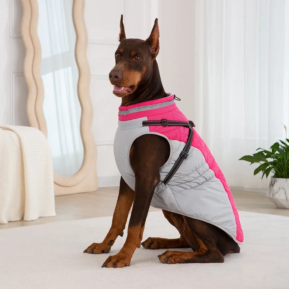 Unisex pet winter coat, waterproof and fleece-lined, with secure harness for cold weather safety