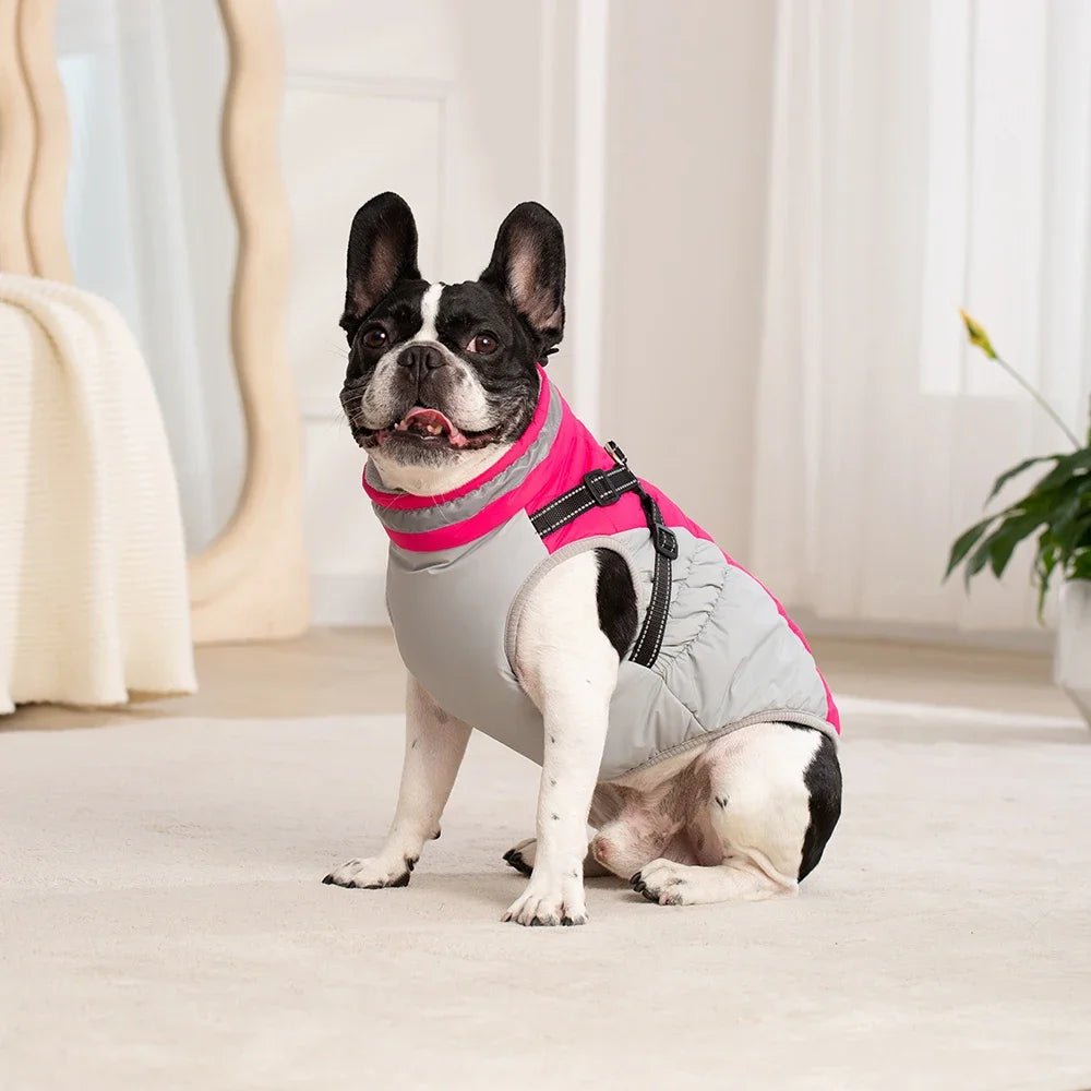 Durable large dog coat, waterproof with reflective harness, providing warmth for winter adventures