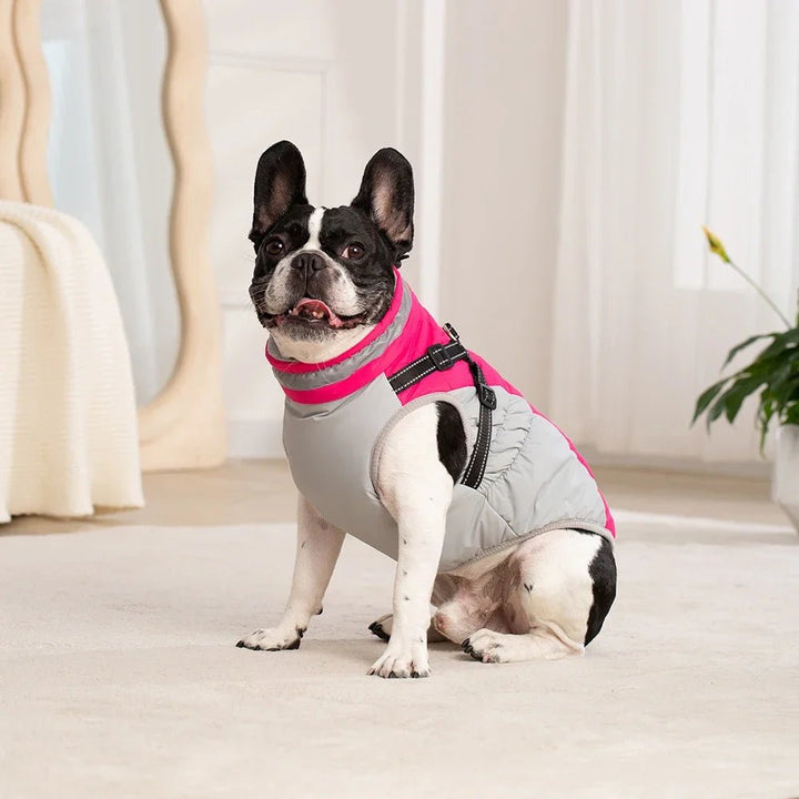 Durable large dog coat, waterproof with reflective harness, providing warmth for winter adventures